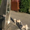optikparcours_20100628_1039722896