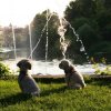 optikparcours_20100628_1636551272