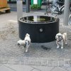 optikparcours_20100628_1792581136
